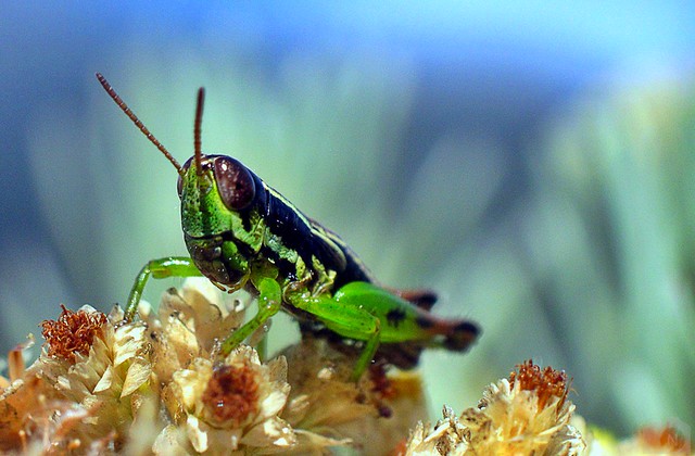 nongkrong-bareng-digital-pocket-dan-prosumer---part-3