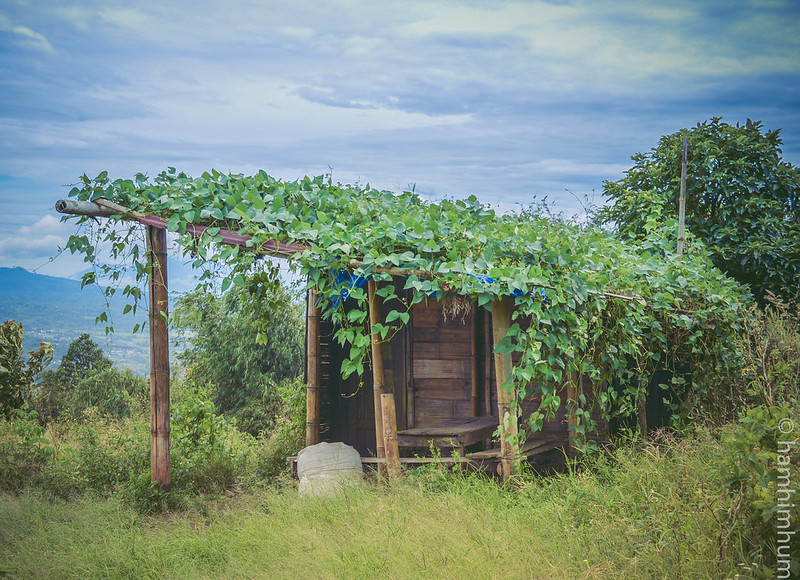 alun-alun-nikonian---part-12