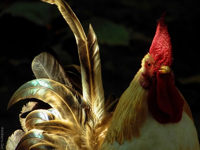 nongkrong-bareng-digital-pocket-dan-prosumer---part-3