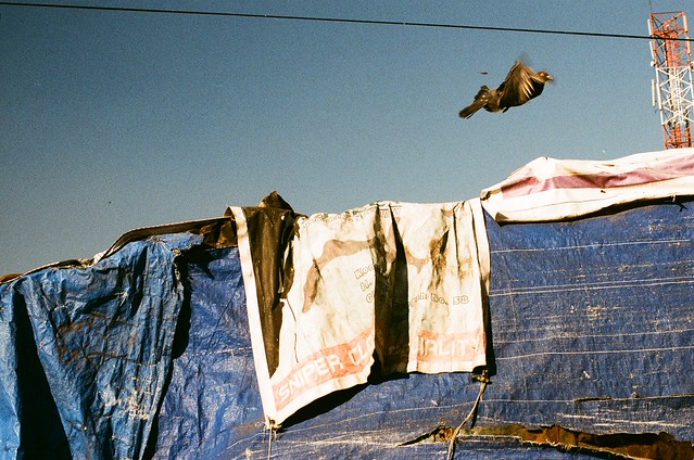 nongkrong-bareng-analog---film-camera---part-4