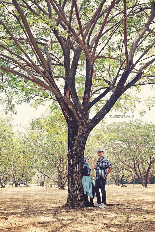 kavling-fujifilm---part-3