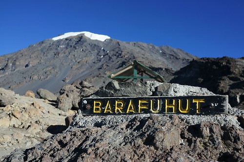 Mt. Kilimanjaro &amp; Mt. Kenya (2014)