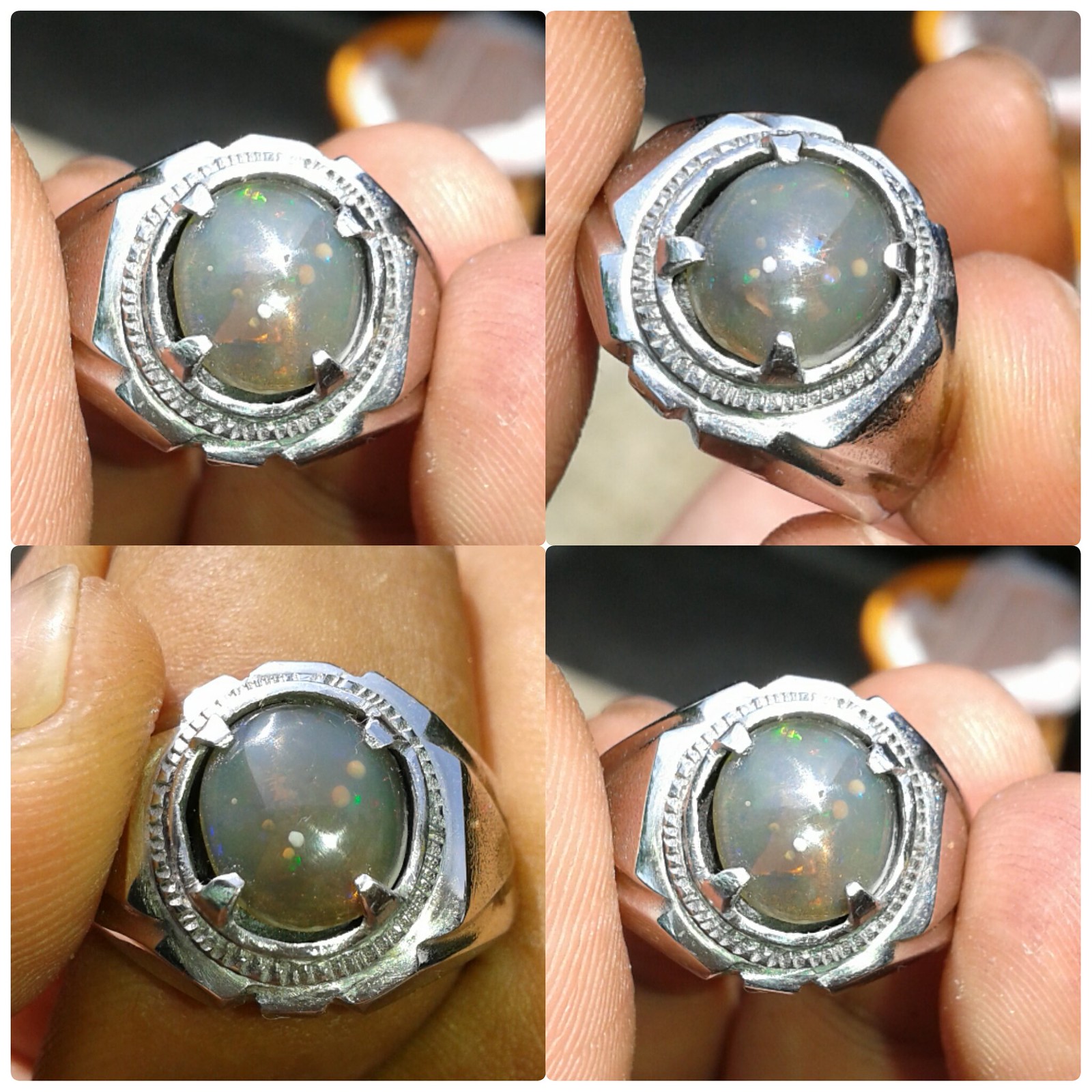 Lelang Tebar Racun (Bacan Gulao,Kalimaya Cikole,)Jilid 2 Close 16 April 2017