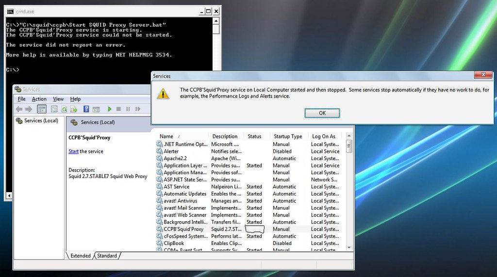 squid ccpb squid ccpb