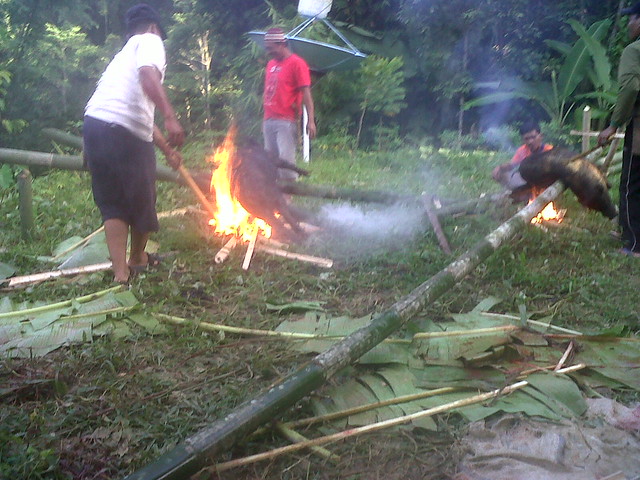 Mengenal Tradisi serta Budaya TORAJA (SULSEL)