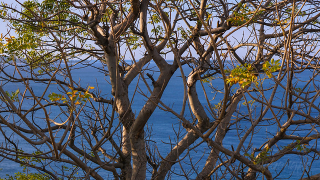 Backpacker ala ala di Lombok dan Nusa Penida