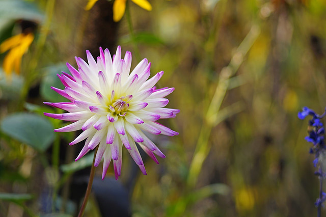 saung-lensa-manual---part-5