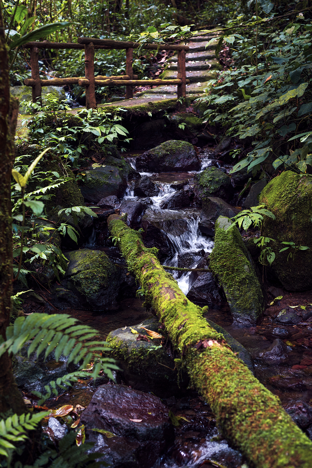 alun-alun-nikonian---part-14