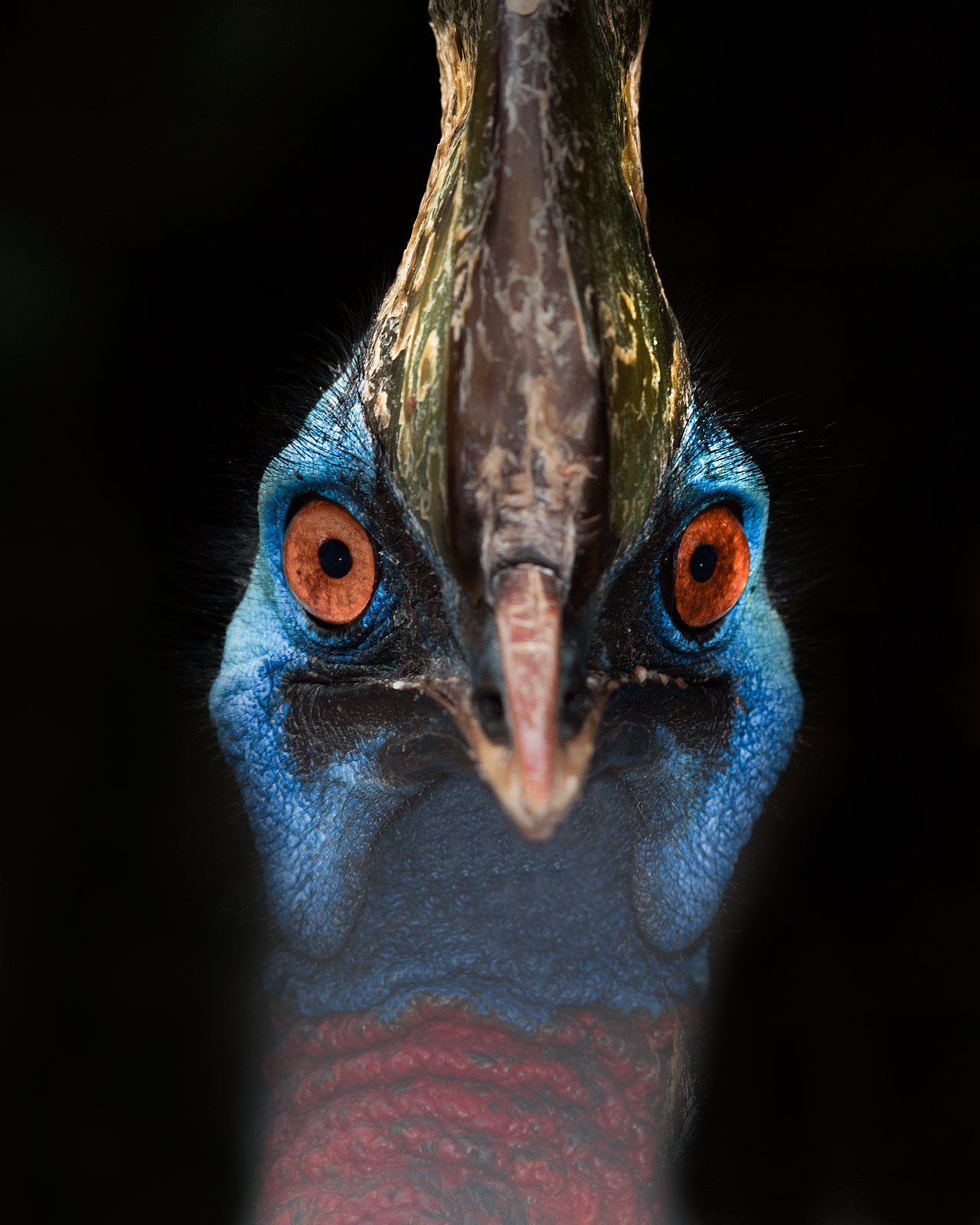 alun-alun-nikonian---part-14