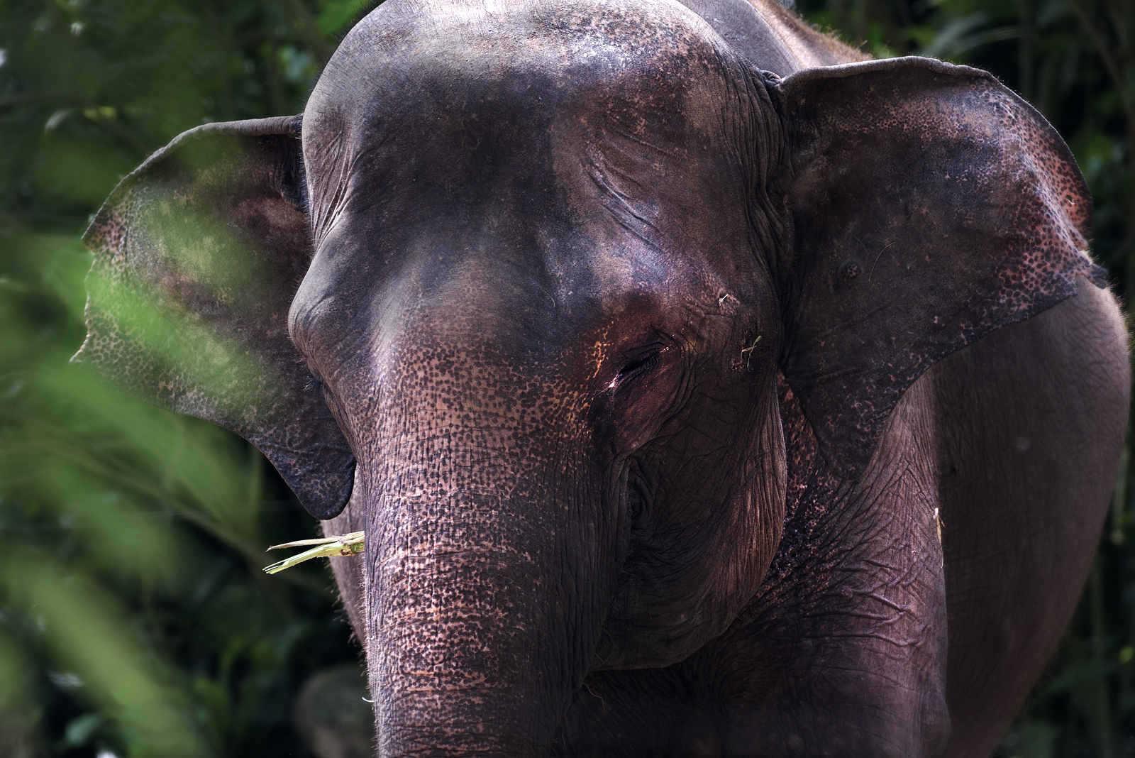 alun-alun-nikonian---part-14