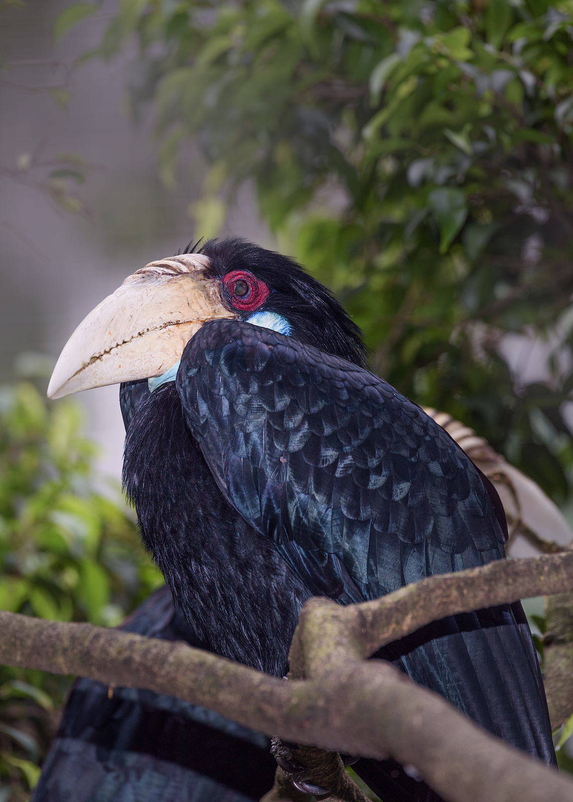 alun-alun-nikonian---part-14