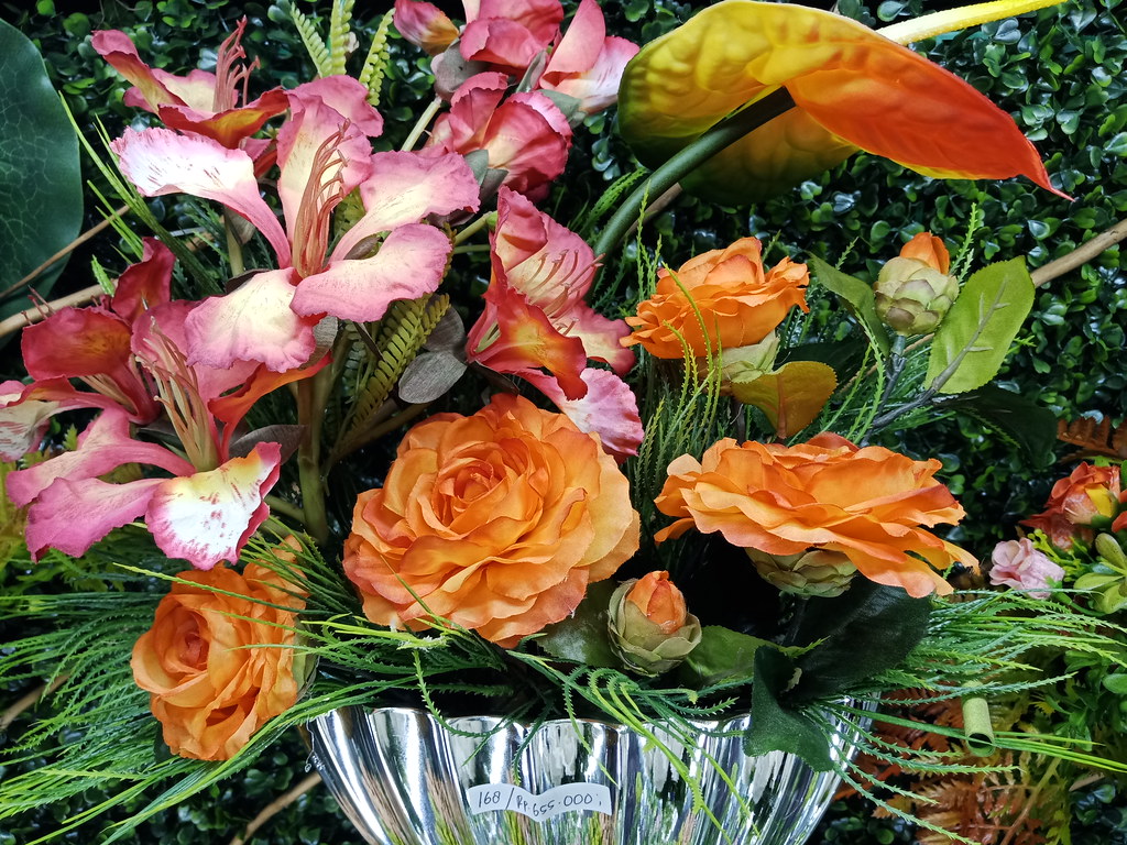 Secanggih Apa Teknologi A.I. di OPPO F5? Simak Ulasan Jujur tentang Kameranya gan!!