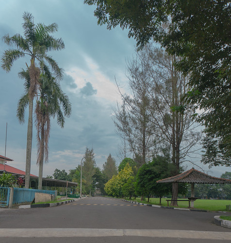 new-pendopo-sony-alpha---part-2