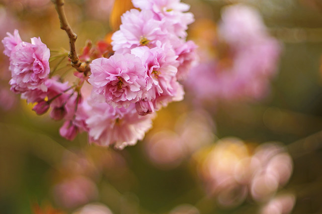 saung-lensa-manual---part-5