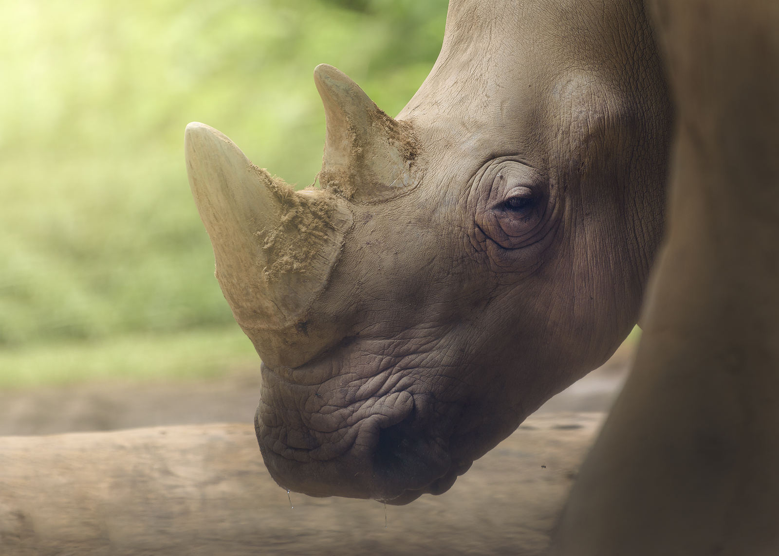 alun-alun-nikonian---part-14