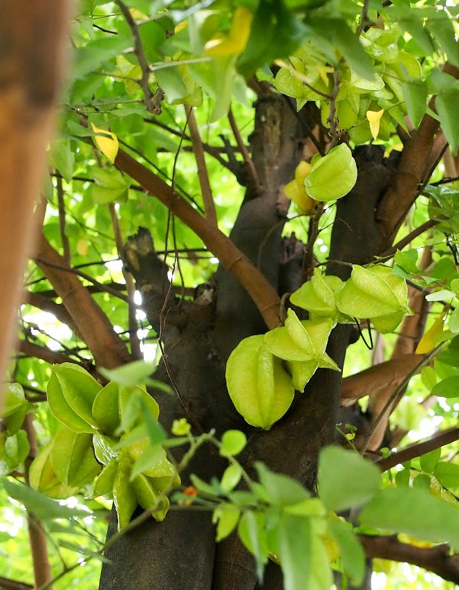 rumah-olympus---part-3