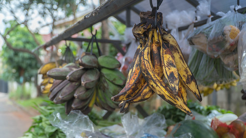 new-pendopo-sony-alpha---part-2