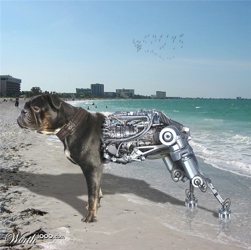 =&#91;HotThread!&#93;&#9679;Cybergenics Animals&#9679; &#91;+40 Picture|PhotoshopEffectAdvance&#93;=