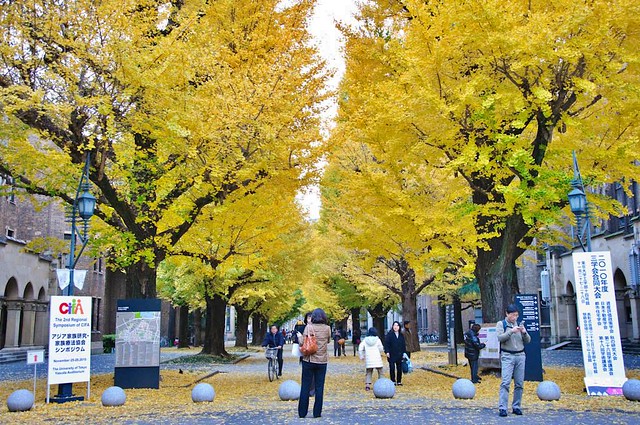 &#91;++PIC&#93; Foto2 University of Tokyo, Jepang &#91;Must See&#93;