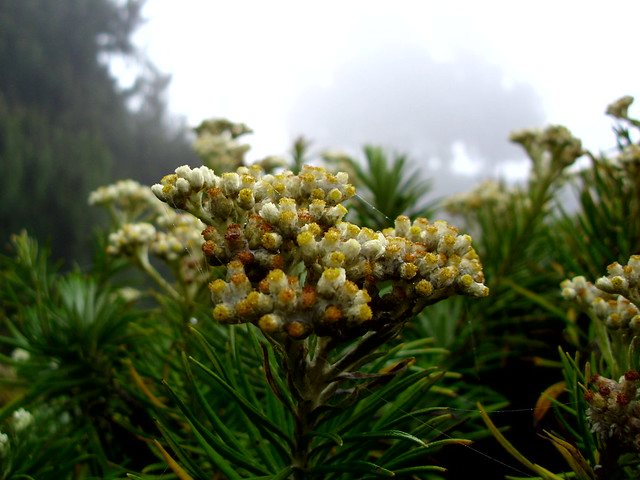 nongkrong-bareng-kritik-jujur-dan-brutal