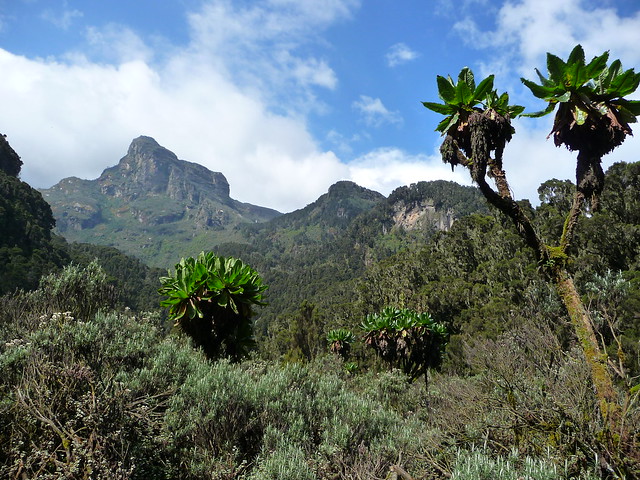 The Great Rift Valley, Kenya