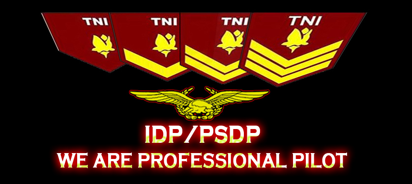 Profil IDP/PSDP Perwira Penerbang TNI yang Jarang terdengar