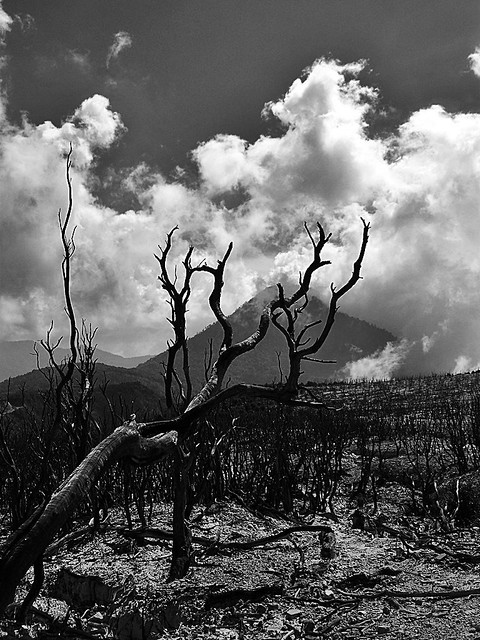 hobby---official-banten-photography---read-rules-first