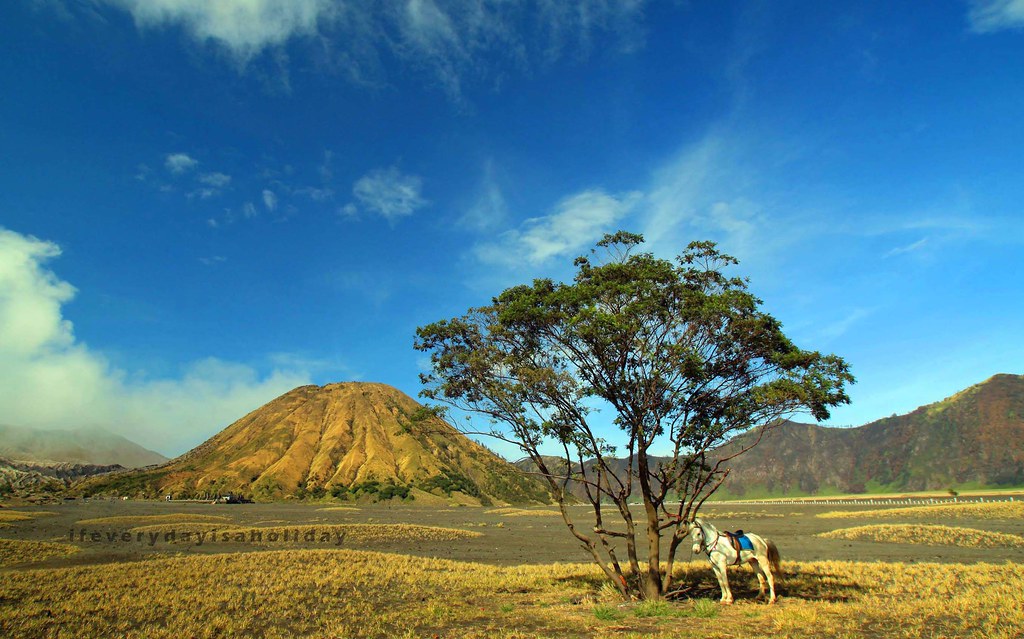 nongkrong-bareng-yang-masih-amatiran-dan-newbie---part-4