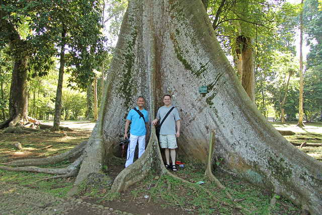 Kebun Raya Bogor Tempat Wisata Favorit Dunia