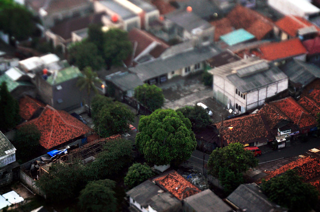 tiltshift-photography