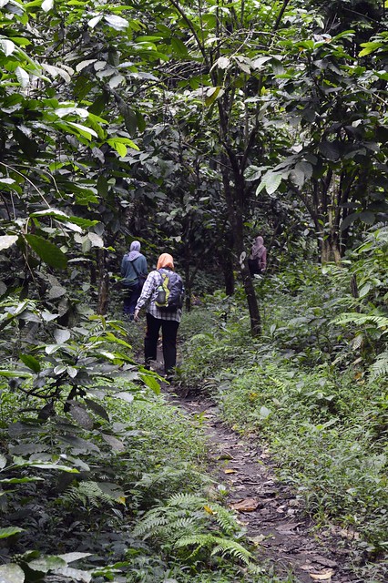 &#91;CATPER&#93; Treking Ringan ke Air Terjun SEKEPER Lombok Utara