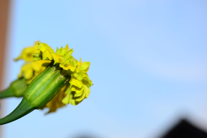 nongkrong-bareng-yang-masih-amatiran-dan-newbie---part-5