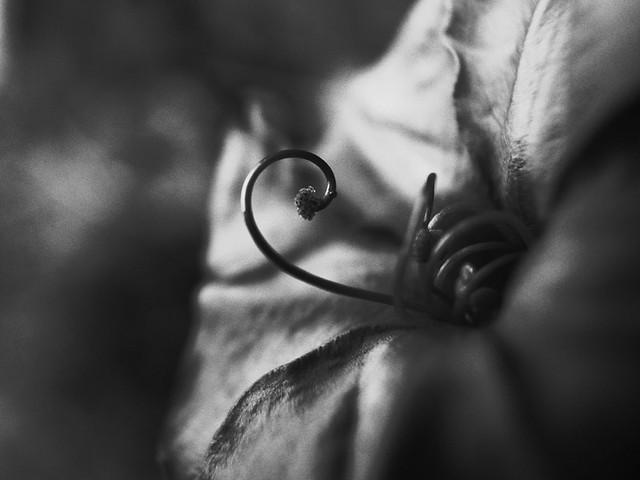 nongkrong-bareng-foto2-b-w