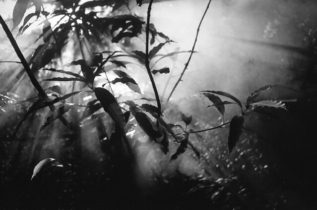 nongkrong-bareng-analog---film-camera---part-4