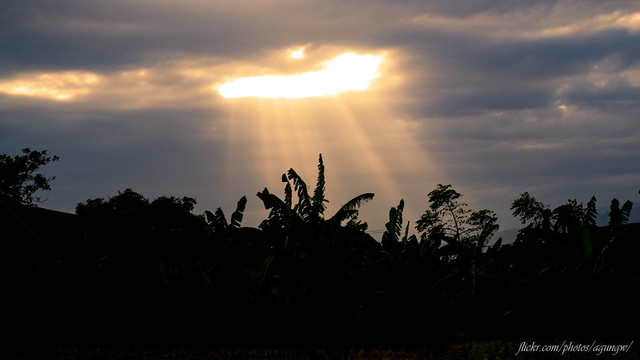 alun-alunnya-nikonian---part-11