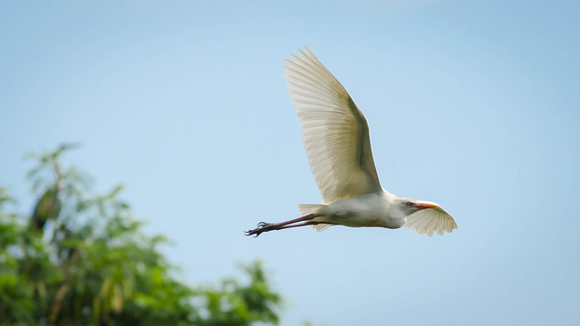 saung-lensa-manual---part-3