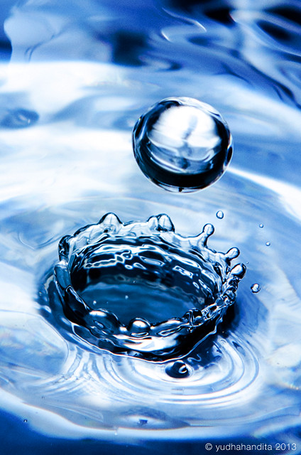 regional-surabaya-forest-v20--sekitarnya---part-5