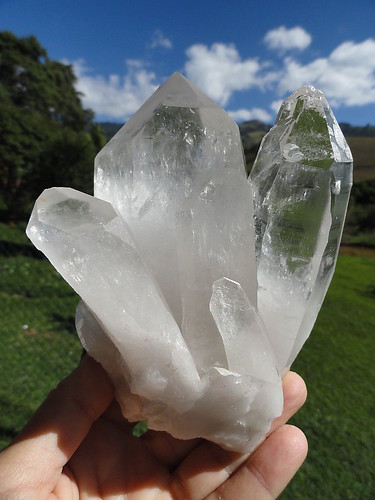 LEMURIAN ASLI BRAZIL