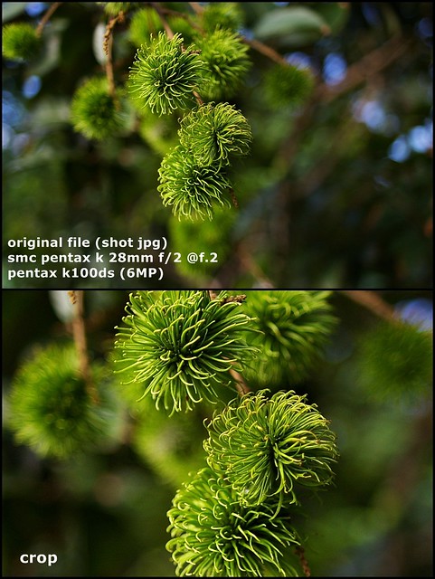 post-image