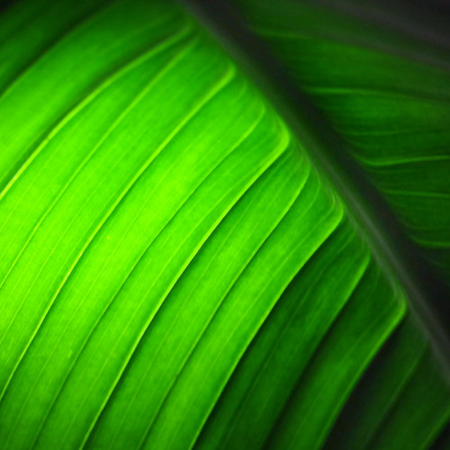 geoju-samseong-tempat-tinggal-samsung