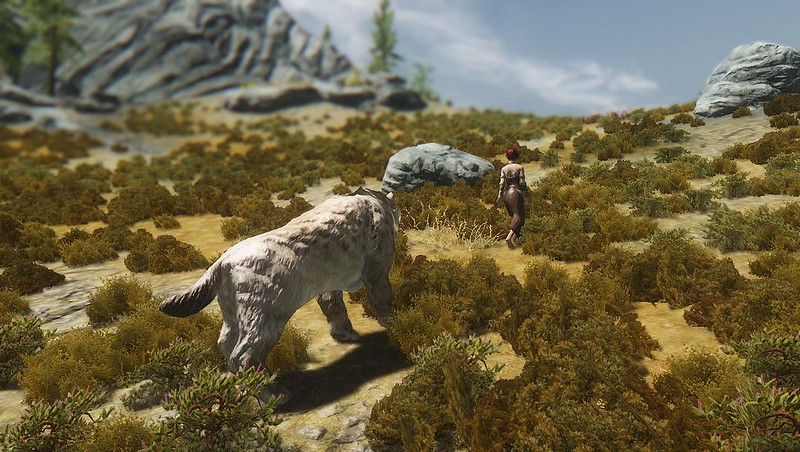 new-home-the-elder-scrolls-v--skyrim