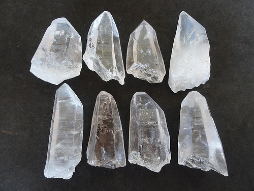 LEMURIAN ASLI BRAZIL