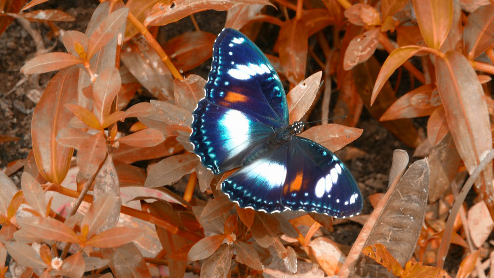 nongkrong-bareng-digital-pocket-dan-prosumer---part-3