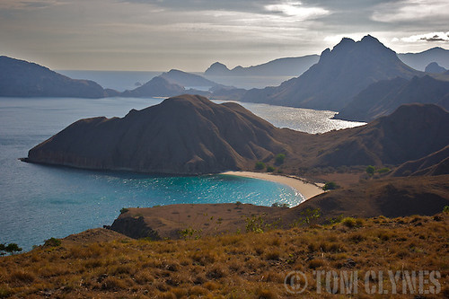 Sisi Lain Pulau Komodo