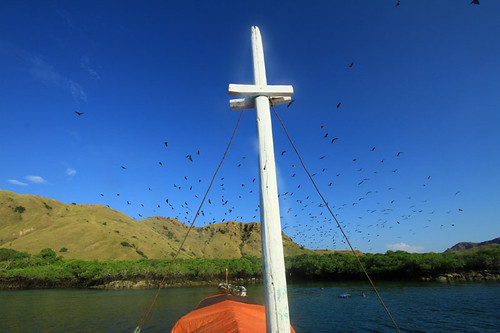 Sisi Lain Pulau Komodo
