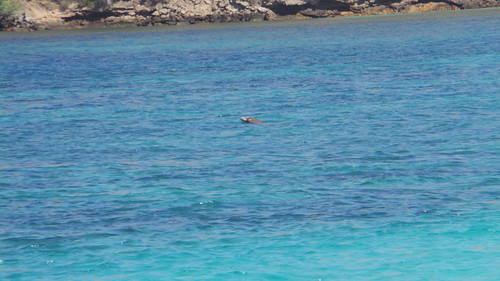 Sisi Lain Pulau Komodo