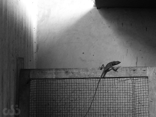 rumah-olympus---part-2