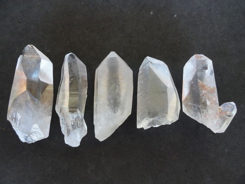 LEMURIAN ASLI BRAZIL