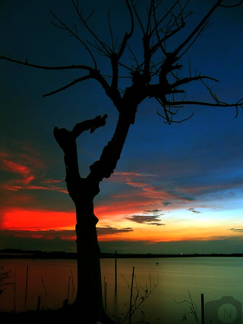 kampung-canoners---part-15