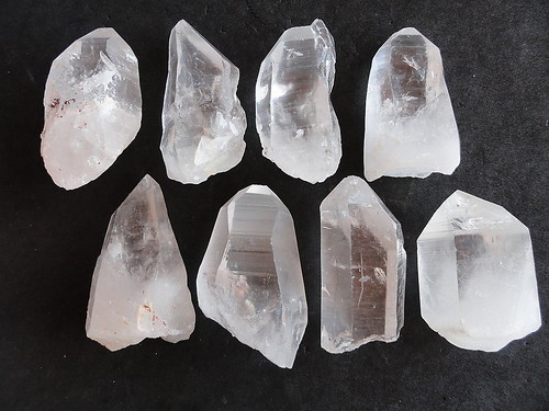 LEMURIAN ASLI BRAZIL